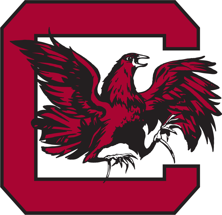 South Carolina Gamecocks 1961-1966 Alternate Logo diy iron on heat transfer